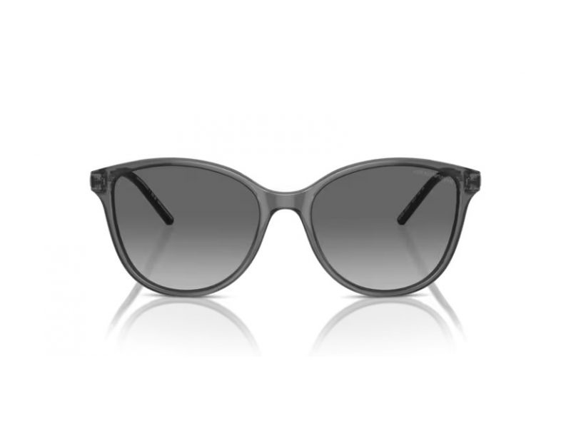 Emporio Armani Slnečné okuliare EA 4220 610611