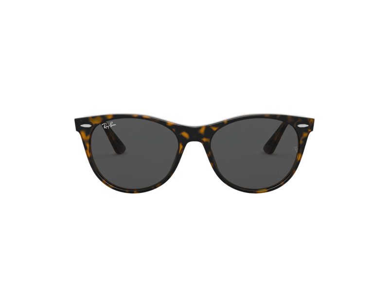 Ray-Ban Wayfarer Ii Slnečné okuliare RB 2185 1292/B1