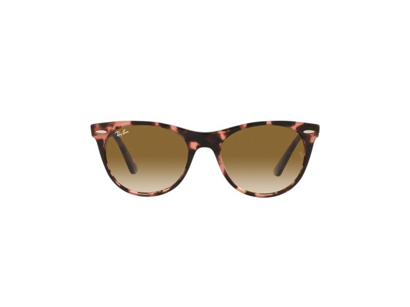 Ray-Ban Wayfarer Ii Slnečné okuliare RB 2185 1334/51