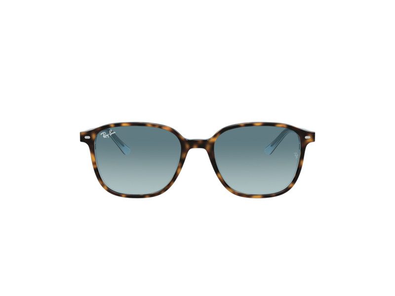 Ray-Ban Leonard Slnečné okuliare RB 2193 1316/3M