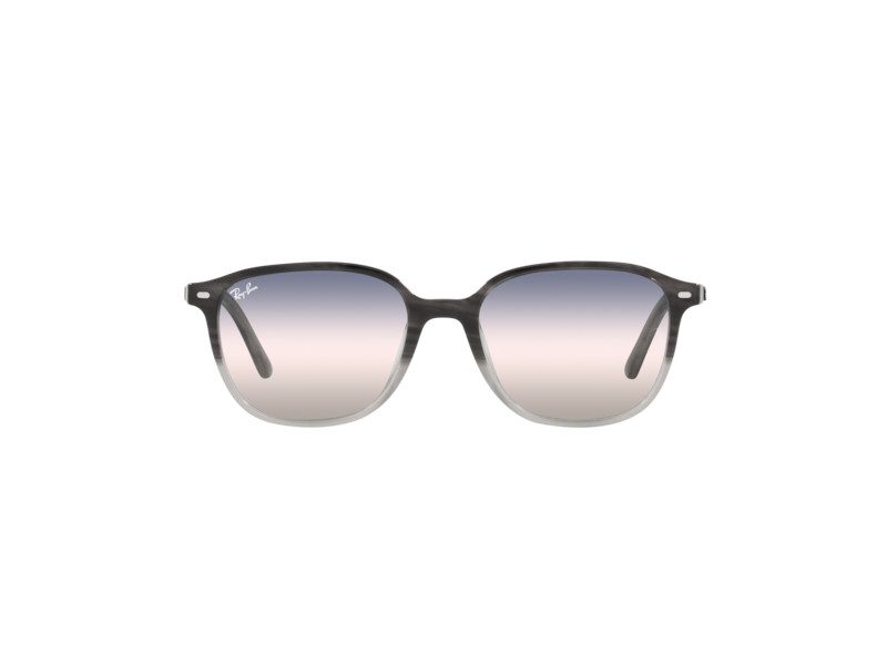 Ray-Ban Leonard Slnečné okuliare RB 2193 1326/GE