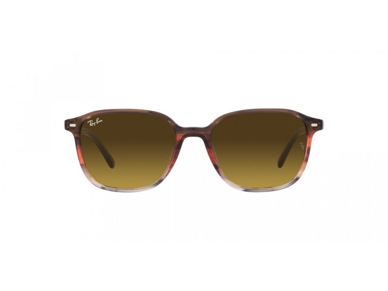 Ray-Ban Leonard Slnečné okuliare RB 2193 138085