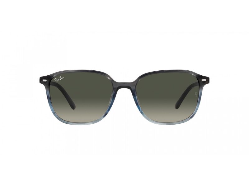 Ray-Ban Leonard Slnečné okuliare RB 2193 138171