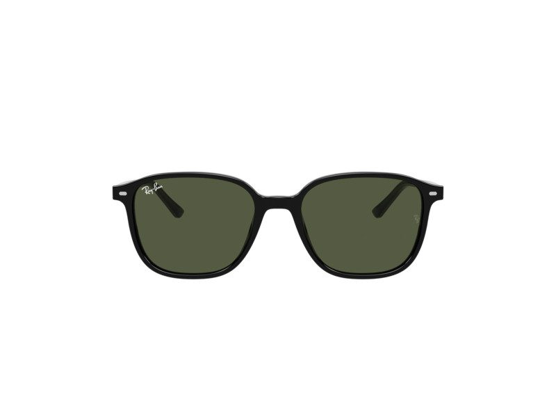 Ray-Ban Leonard Slnečné okuliare RB 2193 901/31