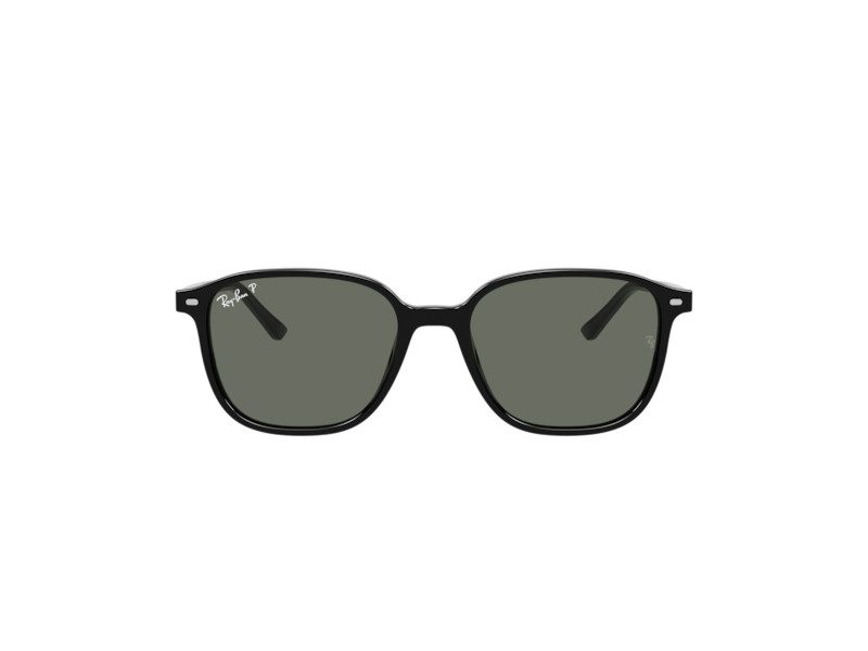 Ray-Ban Leonard Slnečné okuliare RB 2193 901/58