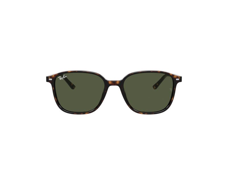 Ray-Ban Leonard Slnečné okuliare RB 2193 902/31