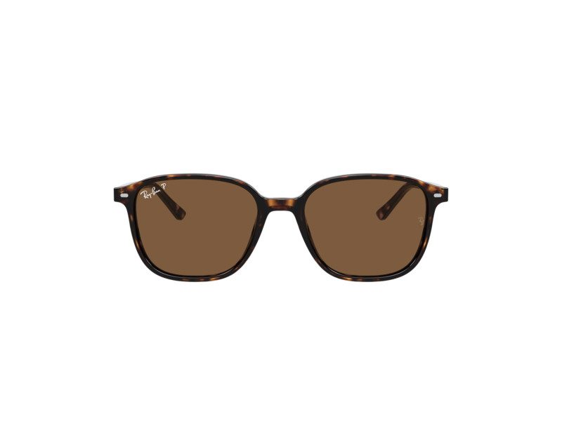 Ray-Ban Leonard Slnečné okuliare RB 2193 902/57