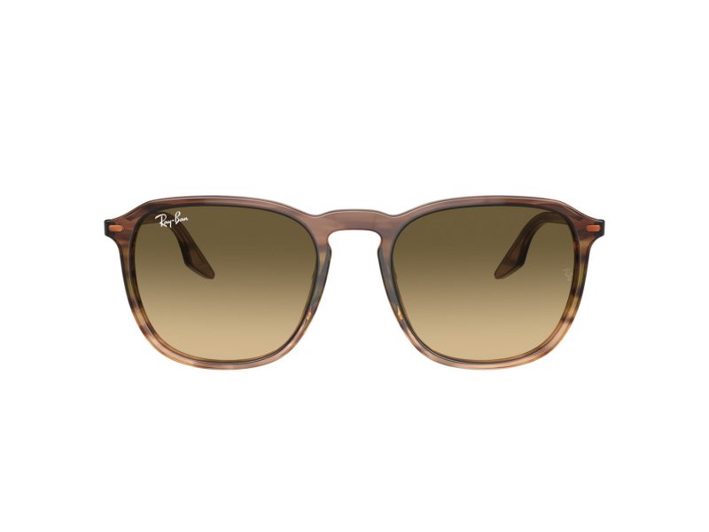 Ray-Ban Slnečné okuliare RB 0RB2203 13920A