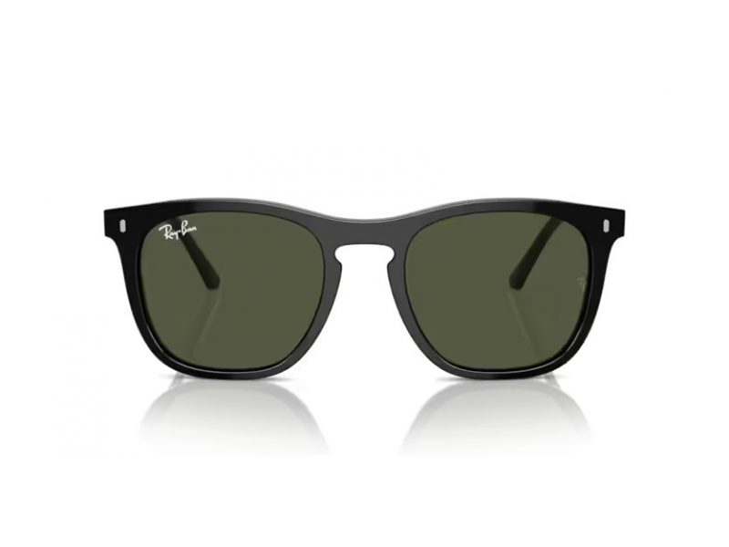 Ray-Ban Slnečné okuliare RB 2210 901/31