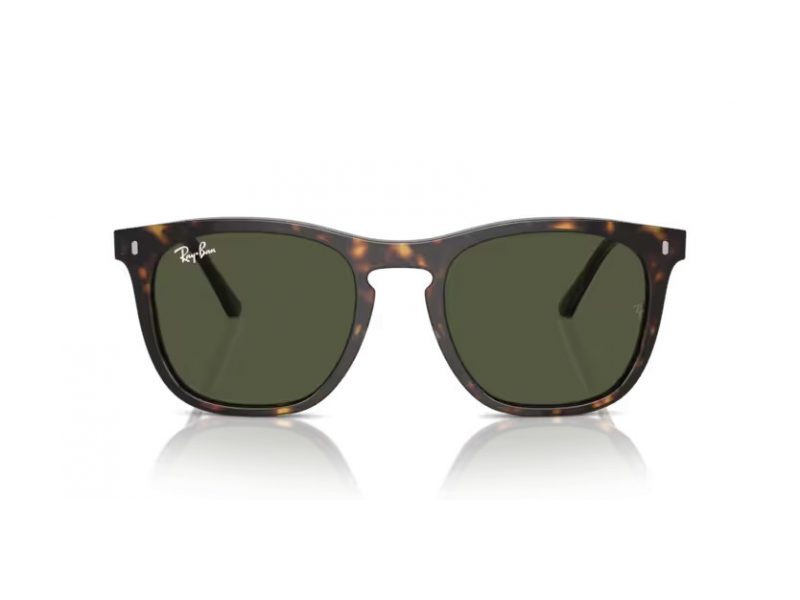 Ray-Ban Slnečné okuliare RB 2210 902/31