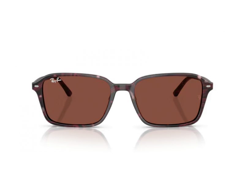 Ray-Ban Raimond Slnečné okuliare RB 2231 1416C5