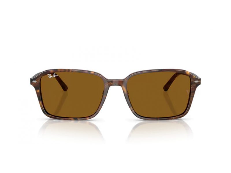 Ray-Ban Raimond Slnečné okuliare RB 2231 141833