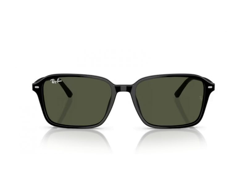 Ray-Ban Raimond Slnečné okuliare RB 2231 901/31