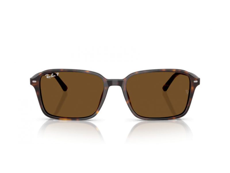 Ray-Ban Raimond Slnečné okuliare RB 2231 902/57