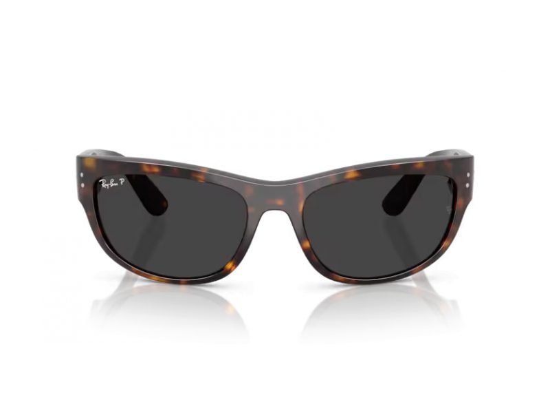 Ray-Ban Mega Balorama Slnečné okuliare RB 2289 902/48