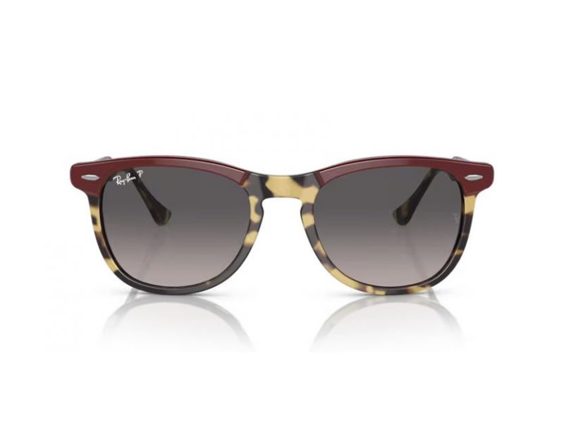 Ray-Ban Eagleeye Slnečné okuliare RB 2398 1377M3