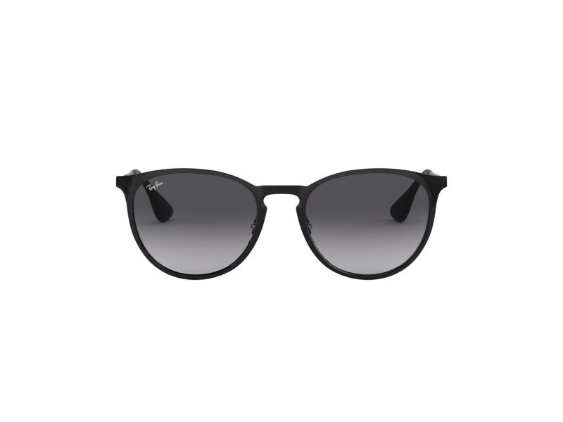 Ray-Ban Erika Metal Slnečné okuliare RB 3539 002/8G