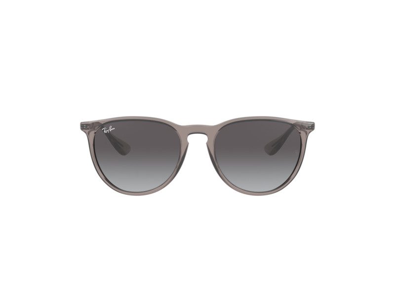 Ray-Ban Erika Slnečné okuliare RB 4171 6513/8G