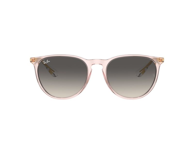 Ray-Ban Erika Slnečné okuliare RB 0RB4171 674211