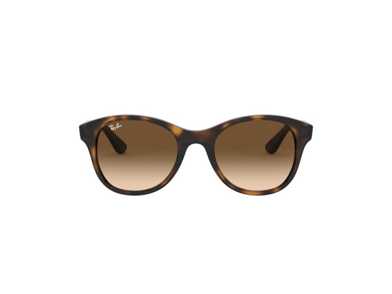 Ray-Ban Slnečné okuliare RB 4203 710/13