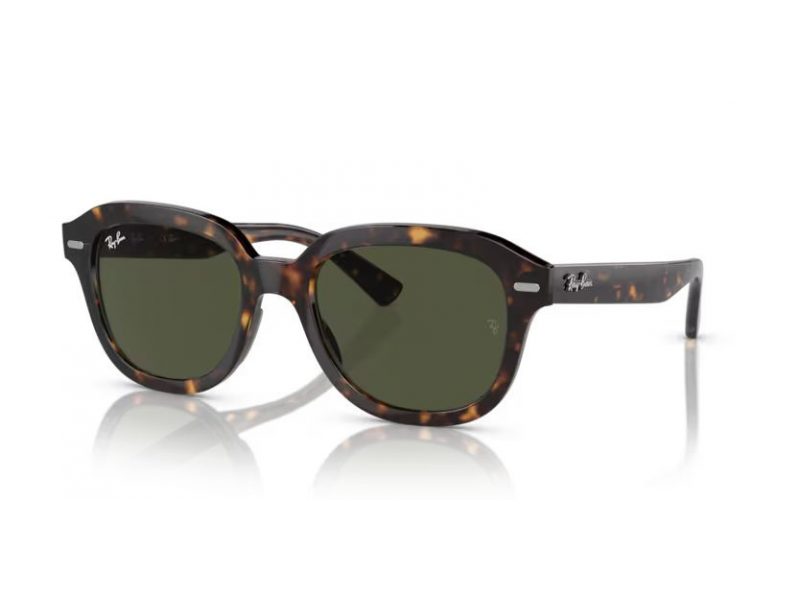 Ray-Ban Erik Slnečné okuliare RB 4398 902/31