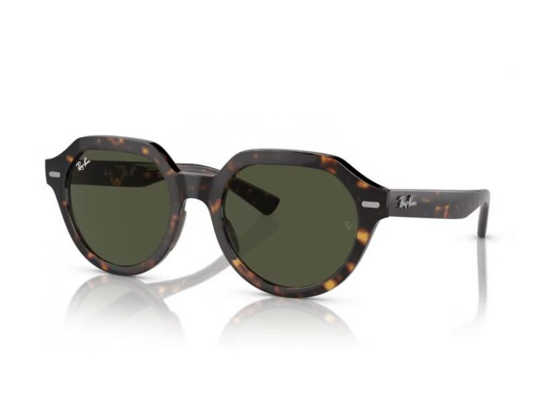 Ray-Ban Gina Slnečné okuliare RB 4399 902/31