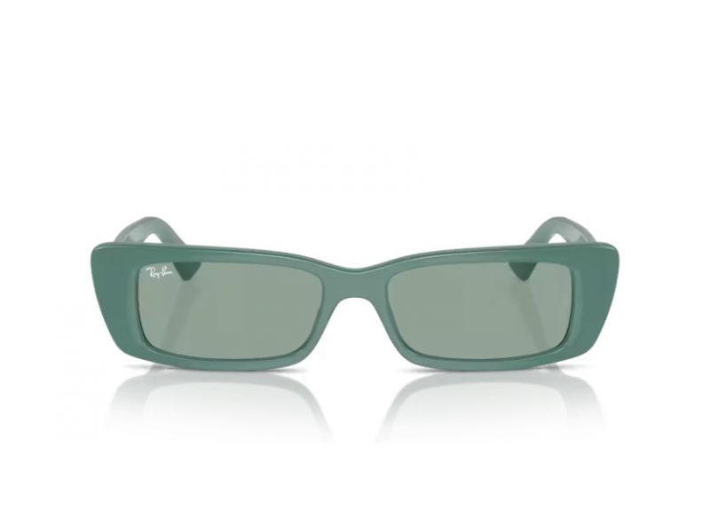 Ray-Ban Teru Slnečné okuliare RB 4425 676282