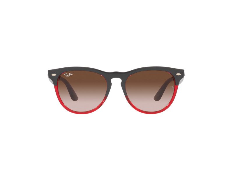 Ray-Ban Iris Slnečné okuliare RB 4471 6631/13