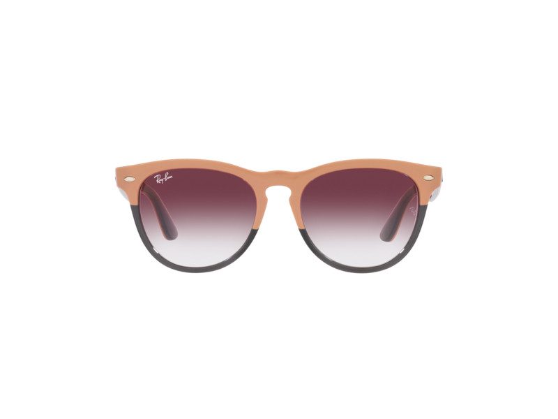 Ray-Ban Iris Slnečné okuliare RB 4471 6633/8H