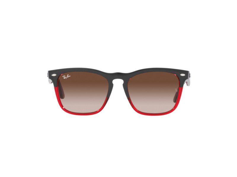 Ray-Ban Steve Slnečné okuliare RB 4487 6631/13